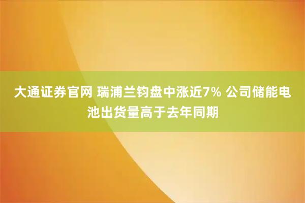 大通证券官网 瑞浦兰钧盘中涨近7% 公司储能电池出货量高于去年同期