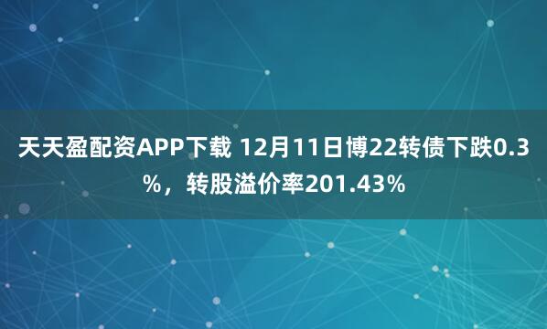 天天盈配资APP下载 12月11日博22转债下跌0.3%，转股溢价率201.43%
